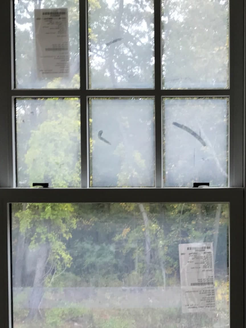 A double-hung window, six lights over one, with woods behind it, before cleaning