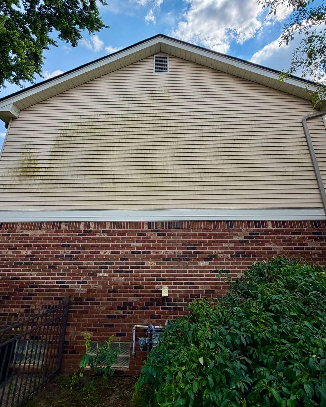 A tan vinyl gable end above a red brick wall, with green algae streaks running down the siding and a shrub at the base of the wall