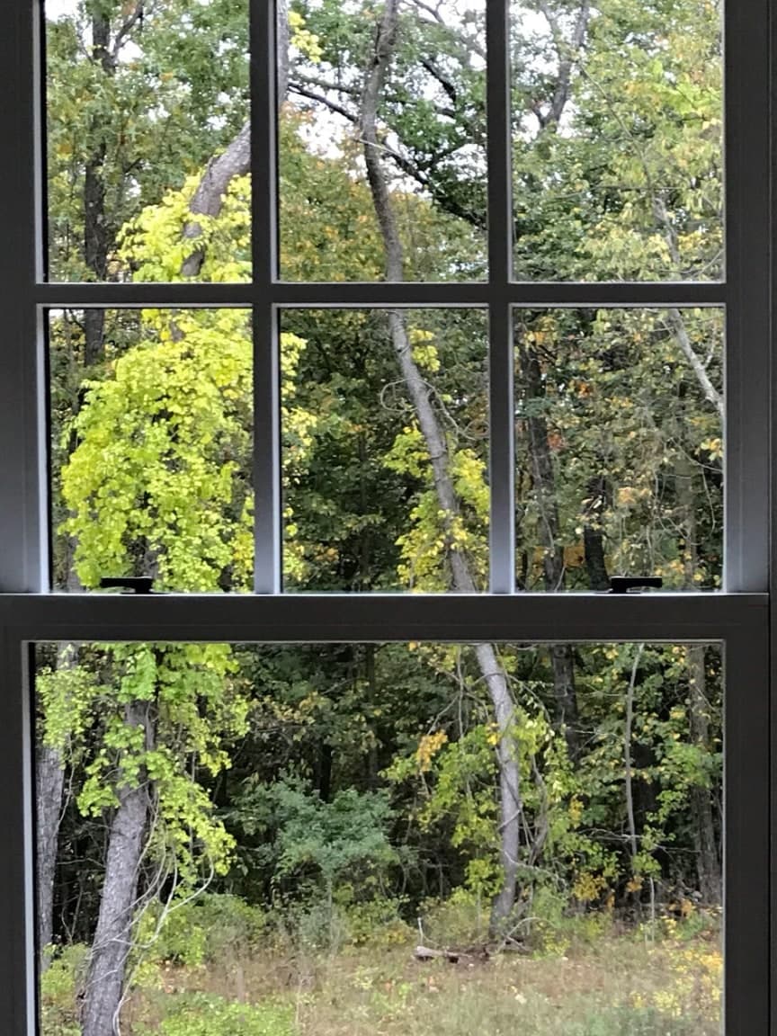 A double-hung window, six lights over one, with woods behind it, after cleaning