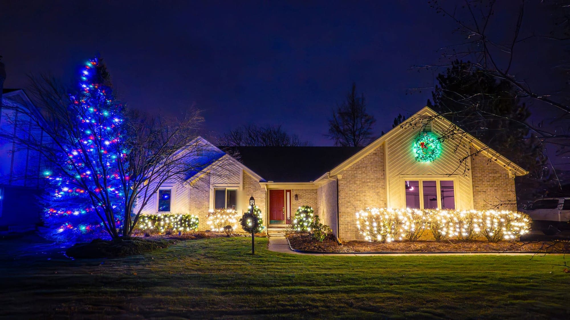 A brick ranch at night, a tall spruce wrapped in blue and multicolor lights and the front hedges under warm white net lights