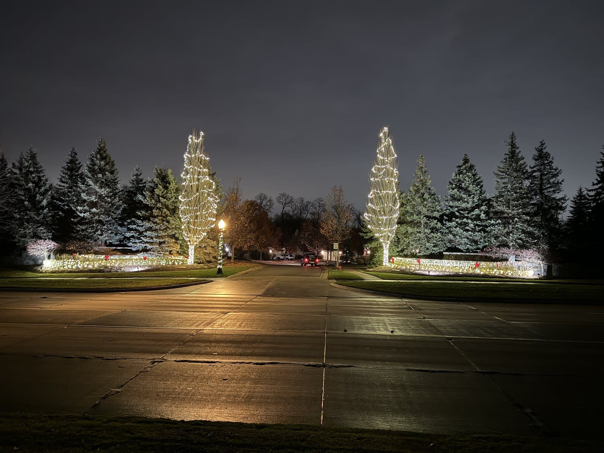 Two tall evergreens wrapped in white lights at a subdivision entrance, with white lights along the low entrance walls