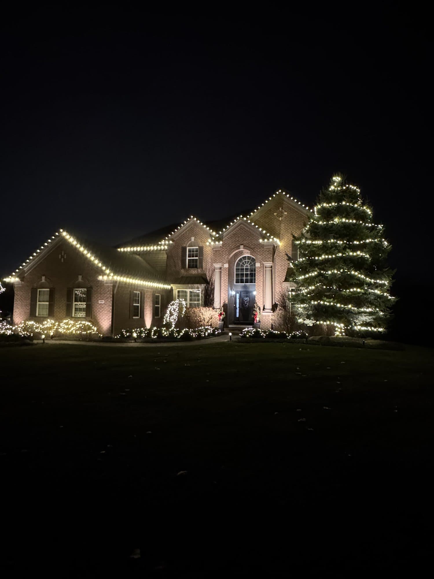 A brick home with warm white bulbs along the rooflines and a tall spruce beside it lit from top to bottom