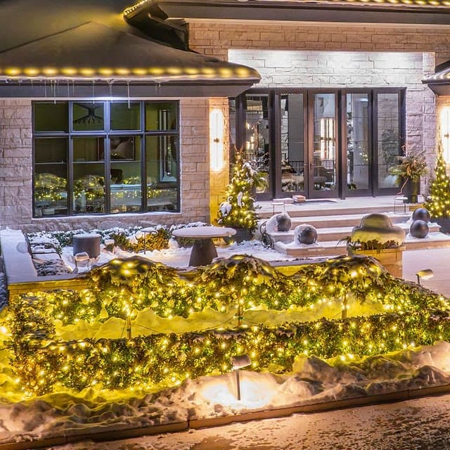 Front hedges covered evenly in warm white net lights in front of a modern entry