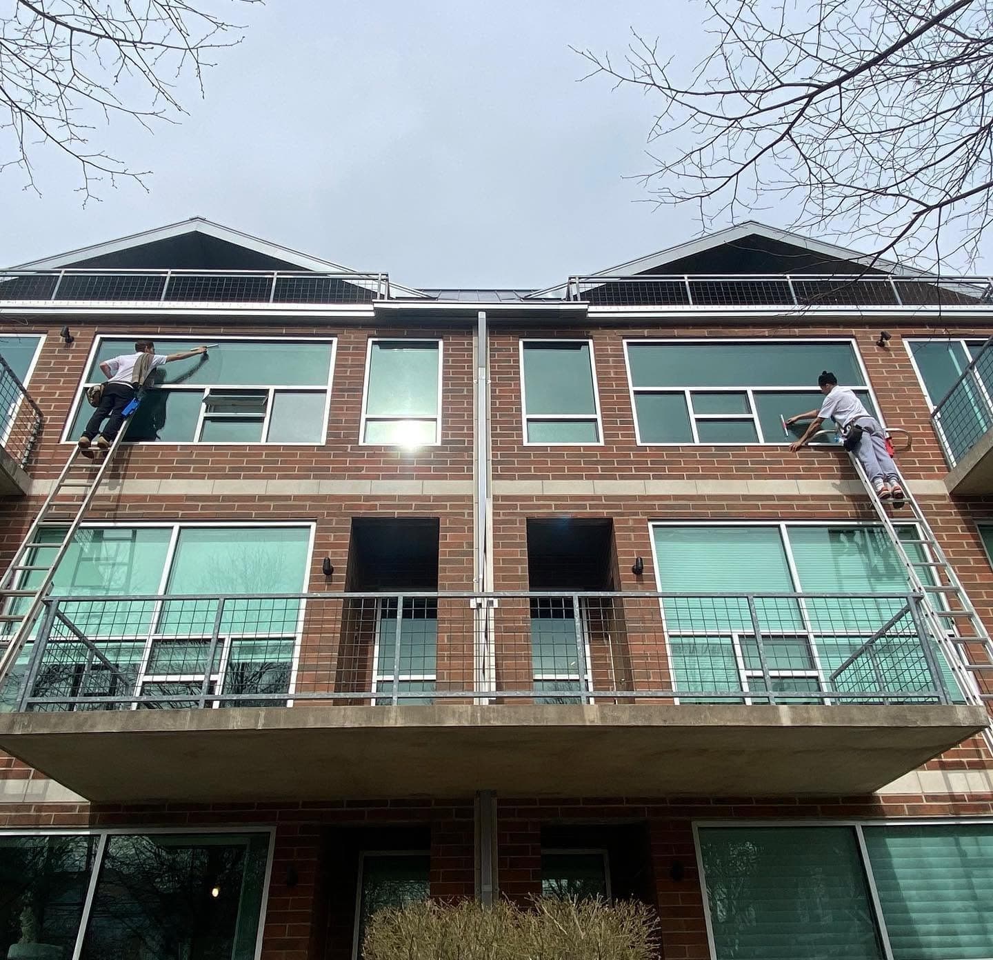Two Glass Guru technicians on extension ladders cleaning the top-floor windows of a three-story brick building