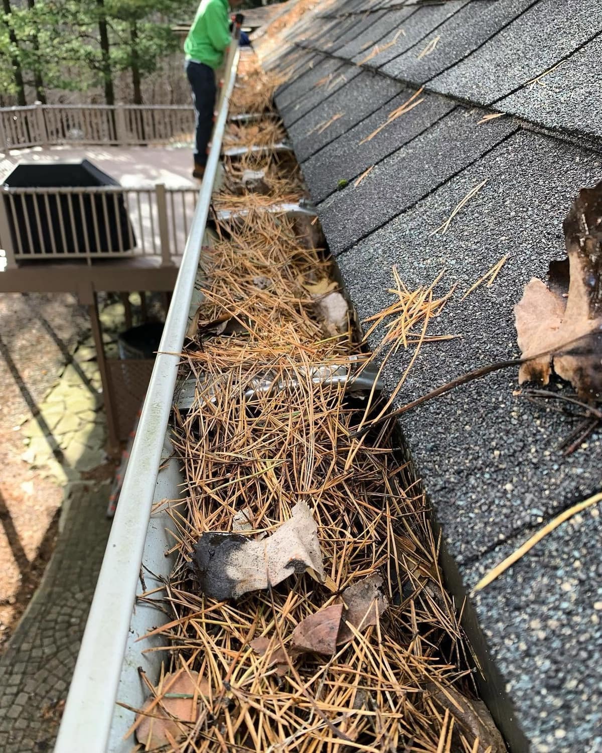A gutter along an asphalt shingle roof packed with pine needles and dead leaves, with a technician on a ladder farther down the run